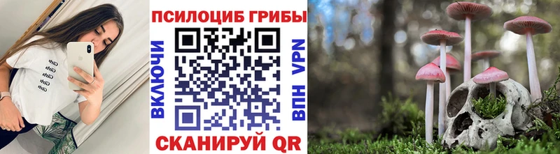 Псилоцибиновые грибы Psilocybe  Талдом 
